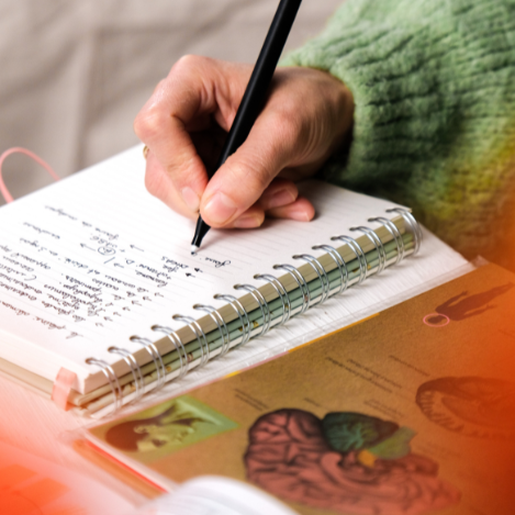 L'Accompagnement Nutritionnel - Formule Premium